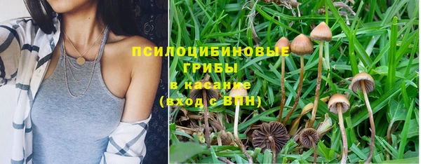 прущие крисы Арсеньев