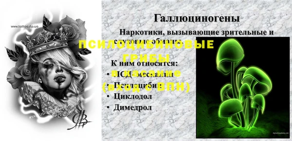 прущие крисы Арсеньев