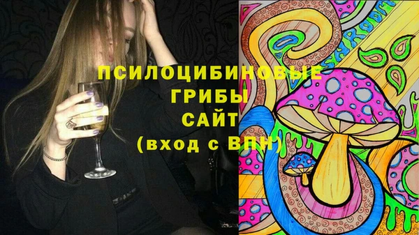 прущие крисы Арсеньев