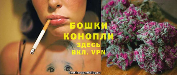 прущие крисы Арсеньев